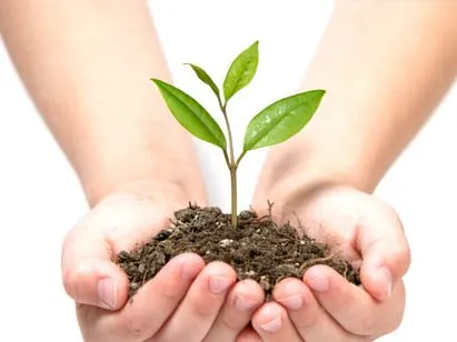 Respect de l'environnement